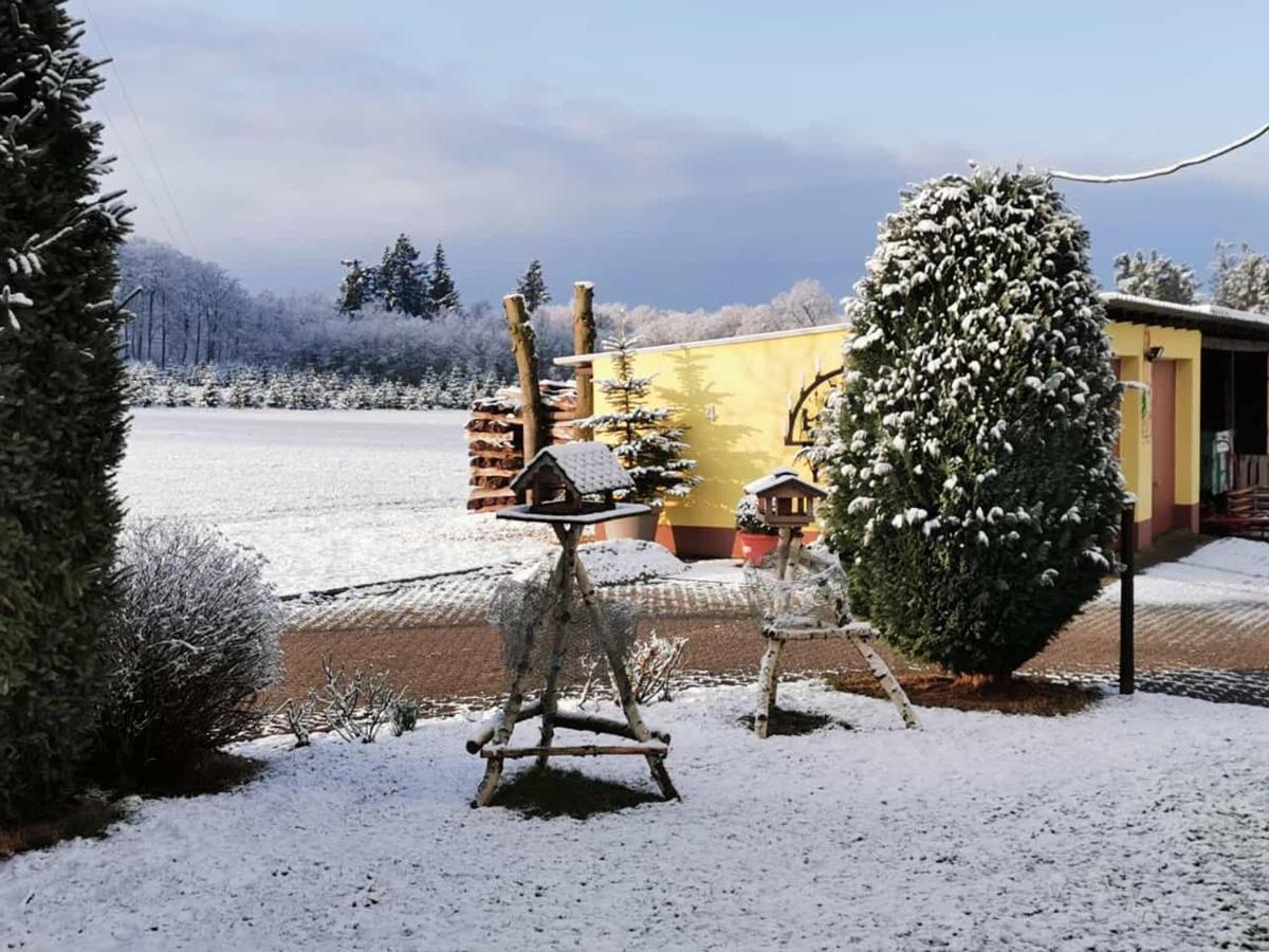 Ferienwohnung Landidylle Nassheck Dieblich Esterno foto