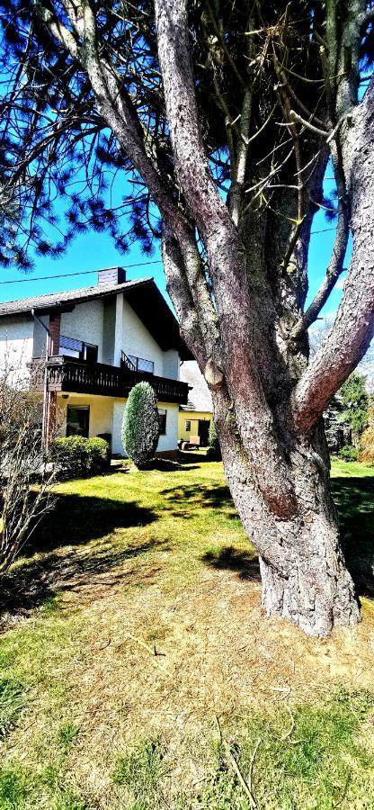 Ferienwohnung Landidylle Nassheck Dieblich Esterno foto