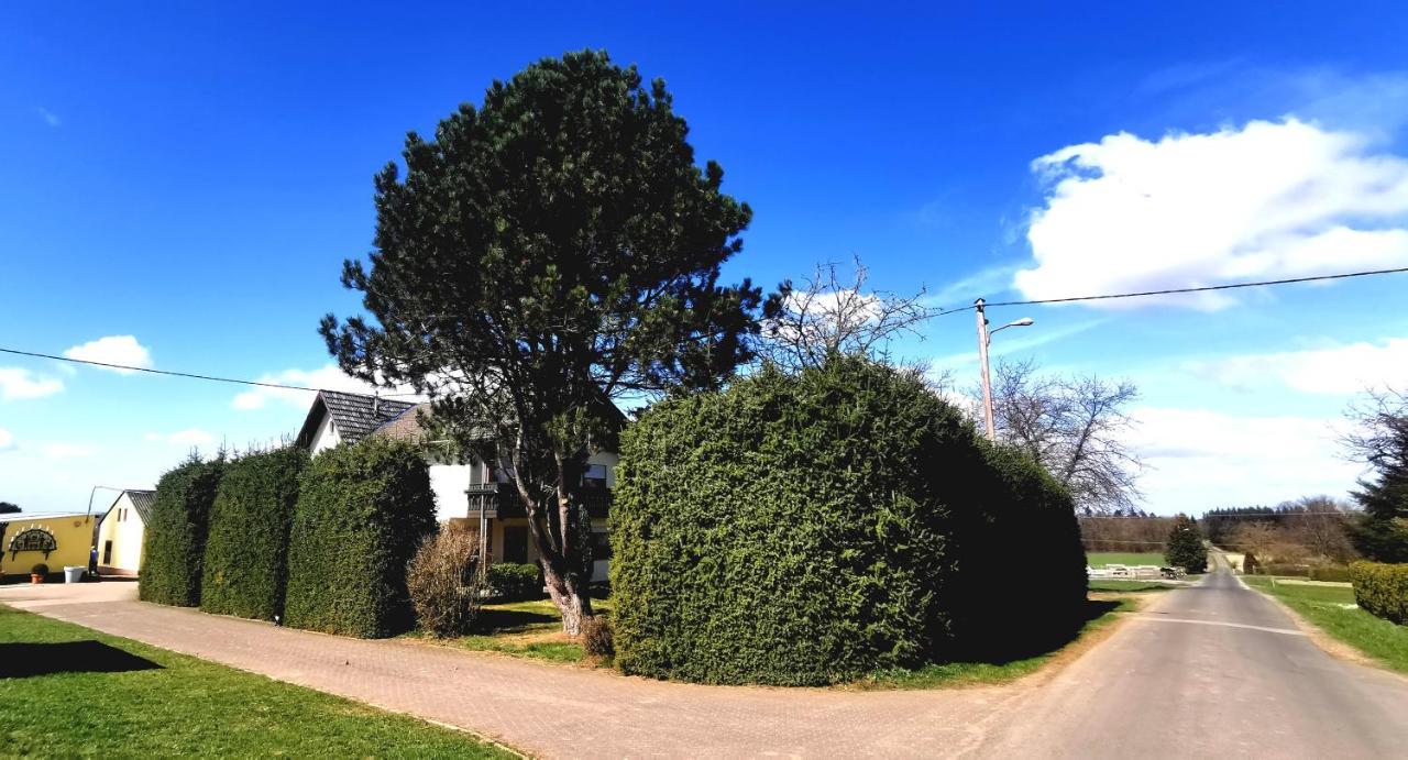 Ferienwohnung Landidylle Nassheck Dieblich Esterno foto